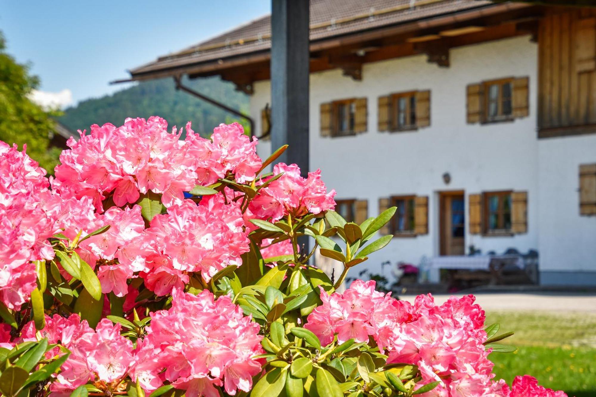 Moarhof Hotel Bad Wiessee Exterior photo